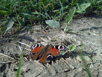 Fotoblog emagieika44