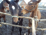 Fotoblog kjchelmce