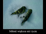 Fotoblog sandrusia210696
