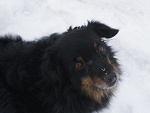 Fotoblog koniecnewfbl