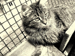 Fotoblog riverpeace