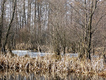 Fotoblog trzy6