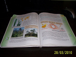 Fotoblog adio1302