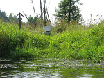 Fotoblog trzmiel6