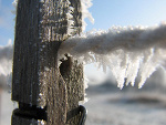Fotoblog yookafoka
