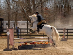 Fotoblog gwiazdka416
