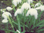 Fotoblog angeelaa