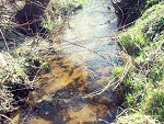 Fotoblog maluszek112290