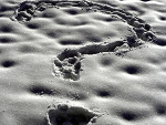 Fotoblog zellsan