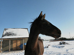 Fotoblog nikosiowa