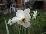 Fotoblog baajecznaa