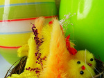 Fotoblog lostmouse
