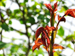 Fotoblog sylsmu
