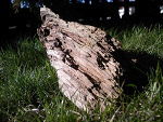 Fotoblog patryk1810