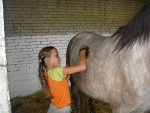Fotoblog 77897