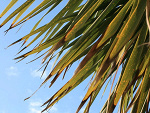 Fotoblog worldsaved
