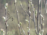 Fotoblog fotoizo