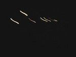 Fotoblog zwierzaczeq