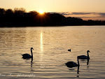 Fotoblog ilonuch