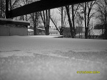 Fotoblog michcioknz
