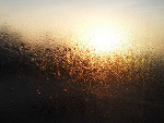 Fotoblog myonelove
