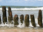 Fotoblog bleis