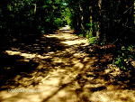 Fotoblog palina1991
