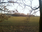 Fotoblog icesoul