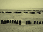 Fotoblog elmoowsky