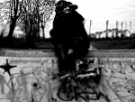 Fotoblog misiekniuni16