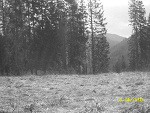 Fotoblog justine94