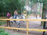 Fotoblog rubinowa123