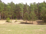 Fotoblog shemouse