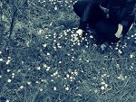 Fotoblog karolaxdd
