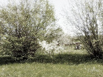 Fotoblog marciiiin
