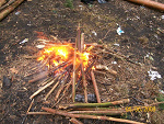 Fotoblog obesryplecyslaw
