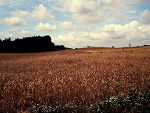Fotoblog haveitsomuchbetter