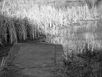 Fotoblog zabson25