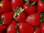 Fotoblog yuppy