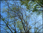 Fotoblog iwonowka