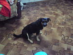 Fotoblog monikas2828