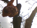 Fotoblog jabajbej