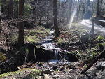 Fotoblog saphiraveline