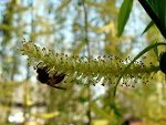 Fotoblog annaa123