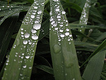 Fotoblog karollajn