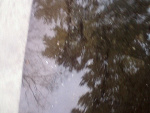 Fotoblog kees10