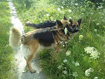 Fotoblog piotrek981