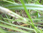 Fotoblog kinuska95