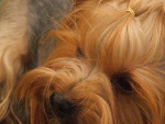 Fotoblog aleksandeer