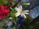 Fotoblog paulina1431
